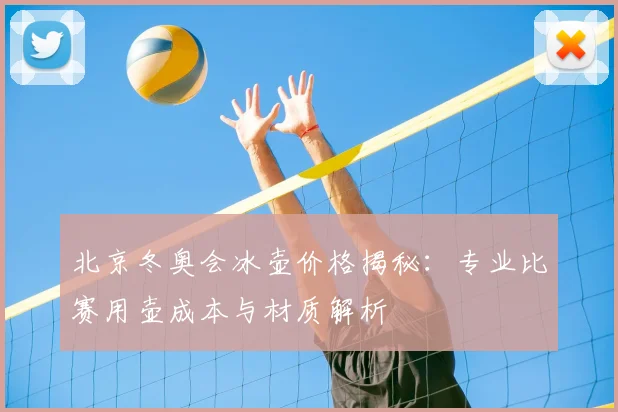 北京冬奥会冰壶价格揭秘：专业比赛用壶成本与材质解析