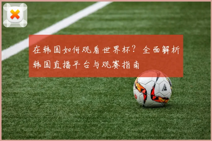 在韩国如何观看世界杯？全面解析韩国直播平台与观赛指南